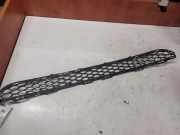 Gitter vorne unten HYUNDAI SANTA FÉ II (CM) 2.2 CRDi 4x4 865122B000