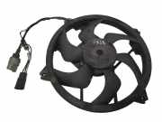 Kühlmodul Peugeot 407 ()