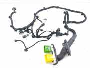 Kabel der vorderen linken Tür