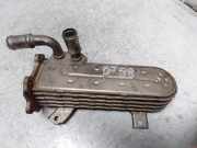 Abgaskühler VW Touran (1T1, 1T2) 038131513AD