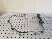 Kabel Tür Dacia Sandero I (BS) 241264816R