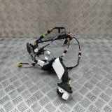 Kabel Tür Toyota Prius (W5) 8215247521