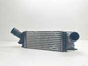 Ladeluftkühler Citroen C5 III (RD) 9657073480