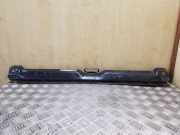 Zier-/Schutzleistensatz für Kühlergitter VW Transporter T4 Fahrgestell ()