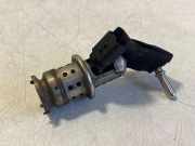 AdBlue Einspritzdüse PEUGEOT EXPERT Furgon 1.6 BlueHDi 95 9802763880
