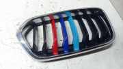 Vorderer oberer Gitter BMW X2 (F39) X2 xDrive20d 5424777