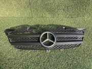 Kühlergrill komplett Mercedes-Benz Sprinter 5t Kasten (906) 9068800385