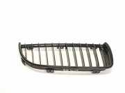 Vorderer oberer Gitter BMW 3 Touring (E91) 320 i