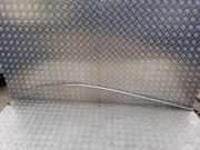 Dachleiste links VW TOUAREG (7LA, 7L6, 7L7) 2.5 R5 TDI