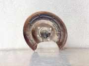 Rear Brake Disc Protection OPEL ASTRA J 2.0 BiTurbo CDTI 13330137