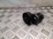 Riemenspanner VW TIGUAN (5N_) 2.0 TDI 4motion 038903315AH