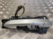 Türgriff links VW Passat B7 (362) 3C0837886