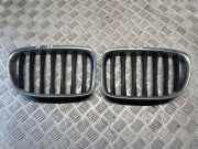 Vorderer oberer Gitter BMW X1 (E84) xDrive 18 d 2993304