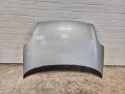 Motorhaube Fiat Grande Punto (199)