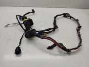 Kabel der vorderen linken Tür HYUNDAI TUCSON (JM) 2.0 CRDi 919802E010