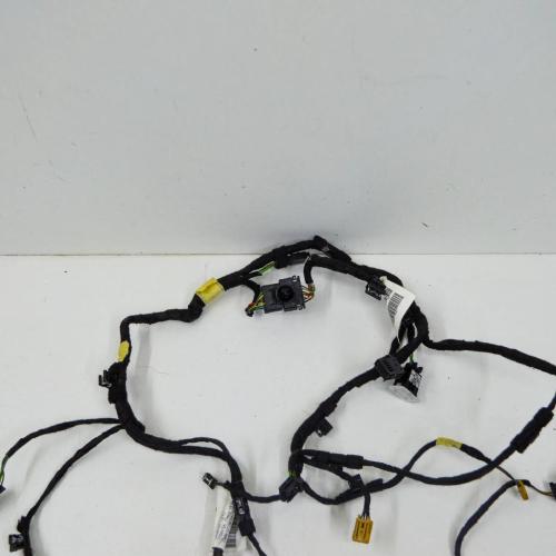 Türverkabelung hinten rechts AUDI A8 D4 (4H_) 3.0 TFSI quattro 4H0971142D Bild Türverkabelung hinten rechts AUDI A8 D4 (4H_) 3.0 TFSI quattro 4H0971142D