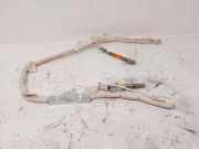 Dach SRS rechts NISSAN PATHFINDER III (R51) 2.5 dCi 4WD 306313320AB