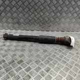 Stoßdämpfer hinten links AUDI Q5 (FY) 2.0 TFSI quattro 80A513035L