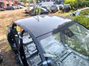 Dach PEUGEOT 3008 III (KA, KB, KC) E-210 (KCZKZX)