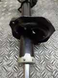 Stoßdämpfer hinten links MAZDA 6 Sedan (GH) 2.0 MZR-CD
