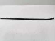 Vertikale Verkleidung an der hinteren linken Tür MERCEDES-BENZ A (W169) A 160 CDI (169.006, 169.306)