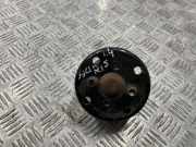 Wasserpumpe TOYOTA AURIS (_E15_) 1.4 D-4D (NDE150_)