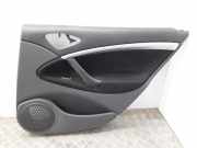 Türpolster hinten rechts