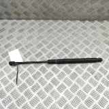 Gasfeder für Motorhaube Mercedes-Benz C-Klasse Cabriolet (A205) A2059800164