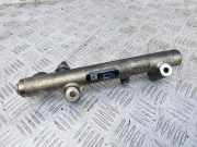 Kraftstoffzuführung