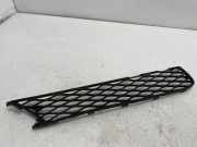 Gitter vorne unten MERCEDES-BENZ R (W251, V251) R 320 CDI 4-matic (251.022, 251.122) A2518850253