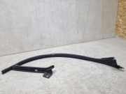 Türgummi links vorne VW Passat B6 CC (357) 3C8854543B