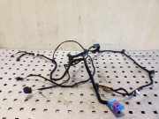 Kabel Tür vorne rechts AUDI Q7 (4L) 3.0 TDI quattro 4L0971035C