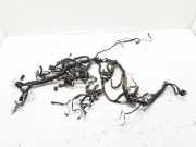 Kabelbaum Innenverkleidung RENAULT KOLEOS I (HY_) 2.0 dCi 4x4 (HY0B) 24010JY45D