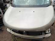 Motorhaube DACIA LODGY 1.2 TCe