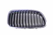 Vorderer oberer Gitter BMW 5 (F10) 520 d 7203650 7261356