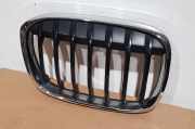 Kühlergrill rechts BMW X1 (F48) 7354824