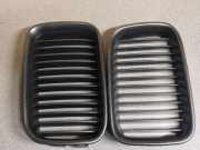 Vorderer oberer Gitter BMW 3 Coupe (E36) 320 i