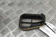 Ziergitter Ford Tourneo Custom V362 Bus (F3) BK21B280B62BA