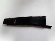 Seitentürleiste links