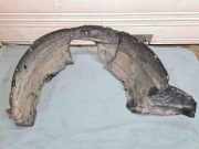 Innenkotflügel vorne rechts