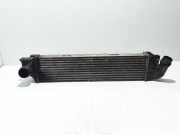 Ladeluftkühler Renault Trafic III Kasten (FG) 144960050R