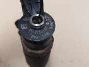 Einspritzdüse PEUGEOT 207 CC (WD_) 1.6 HDi 0445110252