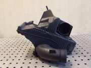 Luftfiltergehäuse Nissan Juke (F15) H8200309636