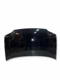 Motorhaube VW TOURAN (1T1, 1T2) 2.0 TDI 16V