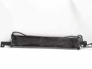 Kühler Hyundai Santa Fe II (CM)