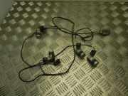 Parksensorsatz hinten RENAULT LAGUNA II (BG0/1_) 2.2 dCi 8200417705