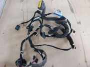 Kabel der vorderen linken Tür RENAULT LAGUNA Coupe (DT0/1) 2.0 dCi 241260074R