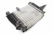 Ladeluftkühler NISSAN JUKE (F15) 1.5 dCi 14461EM00A