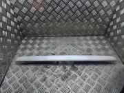 Gehäuse für Kennzeichenleuchte Mercedes-Benz E-Klasse (W210) 2107400040