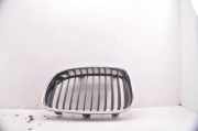 Vorderer oberer Gitter BMW 1 (E87) 116 i 51137179655
